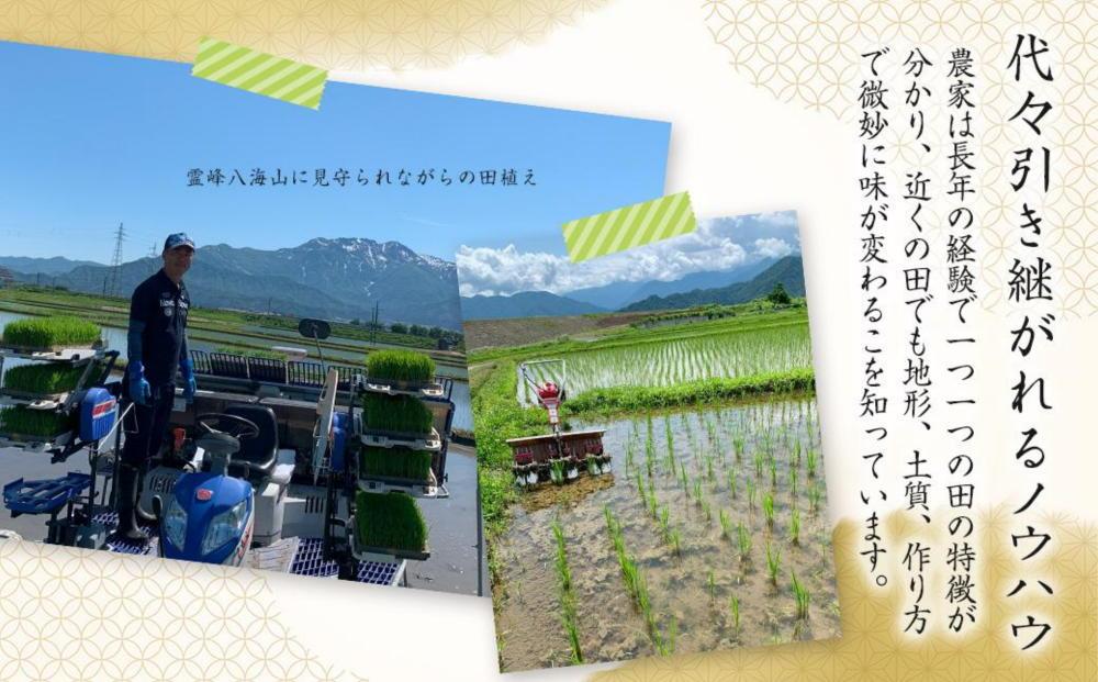 【生産者直送】【令和７年産 新米】南魚沼産こしひかり5kg(5kg×1)白米 オグライスファーム＜コシヒカリ 精米 農家直送＞【2025年11月上旬頃より順次発送予定】