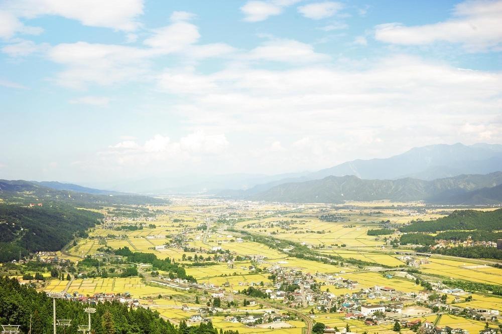 【令和7年産】南魚沼君沢産こしひかり　白燦々 10kg（従来品種）