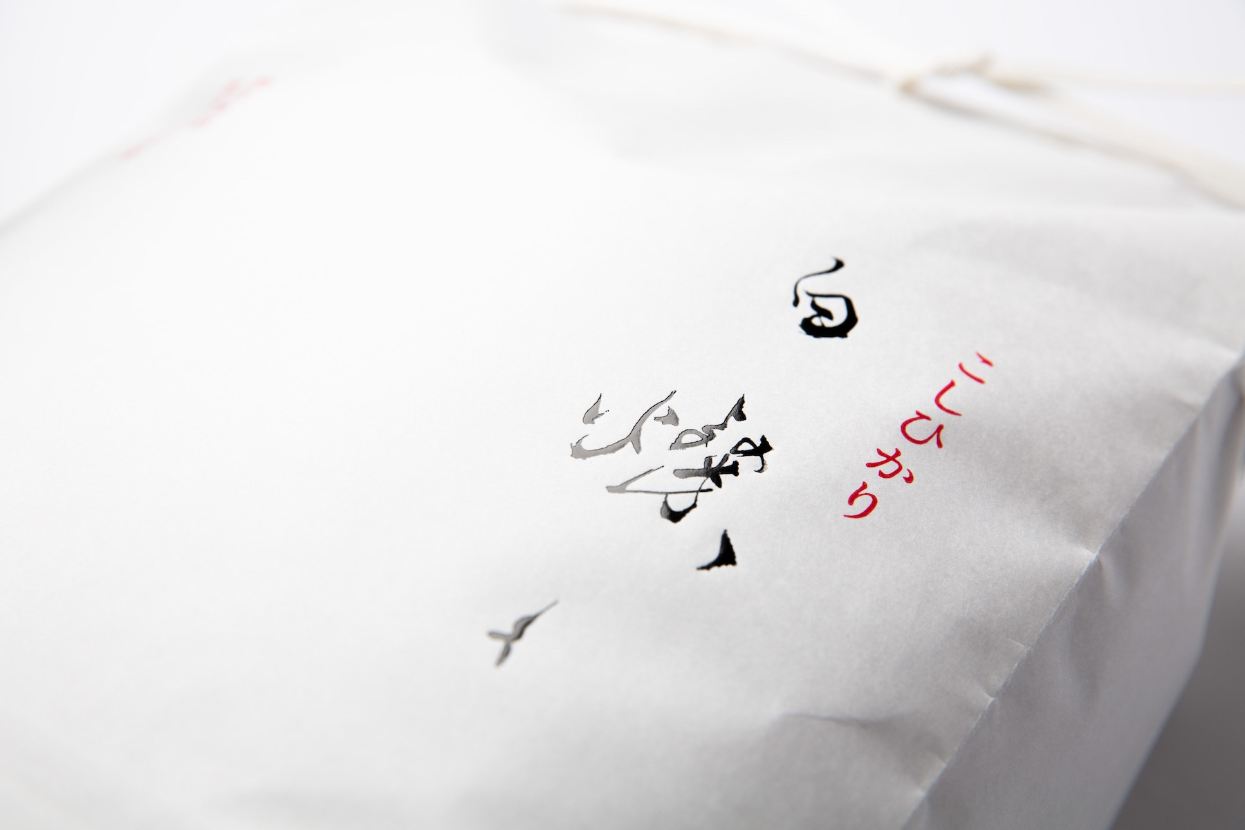 【令和7年産】南魚沼君沢産こしひかり 白燦々10kg（BL品種）