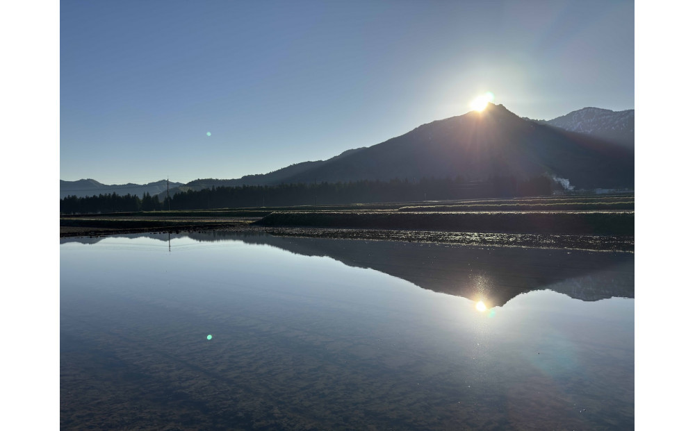 【全6回】【令和7年産】南魚沼塩沢産コシヒカリ＜yusui＞5kg×6ヶ月　白米　