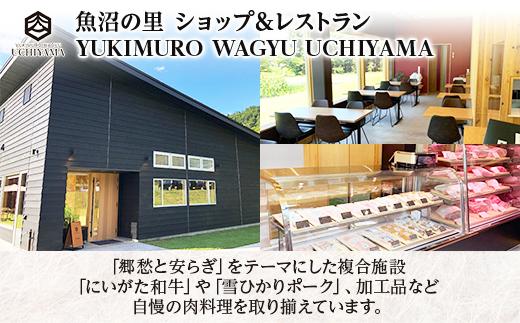 無地熨斗 ビーフシチュー 200g 2個 計400g にいがた和牛 黒毛和牛 国産 肉 牛肉 新潟県 南魚沼市 冷凍 のし gift お土産 プレゼント 贈答 贈答品 内山肉店