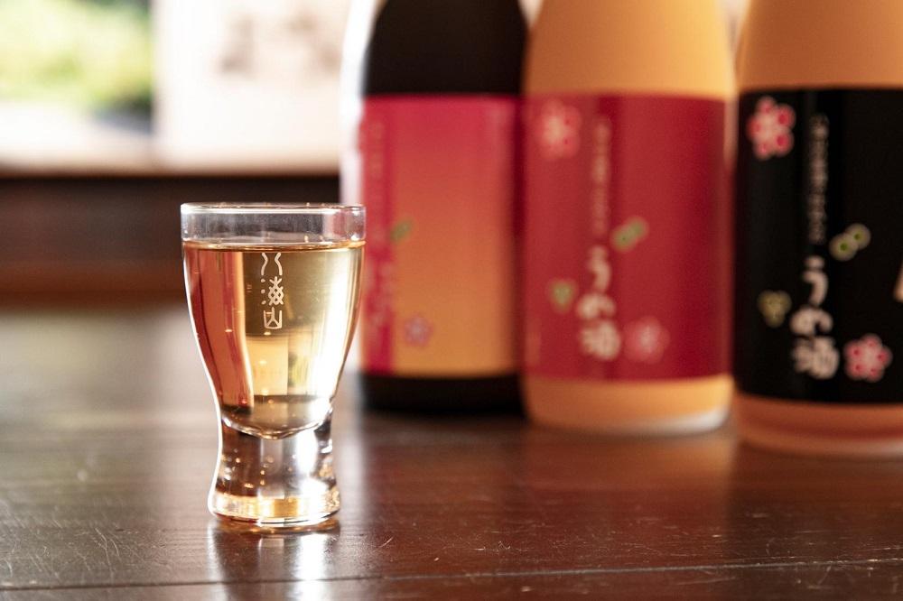 越後の名酒「八海山」バラエティセットA