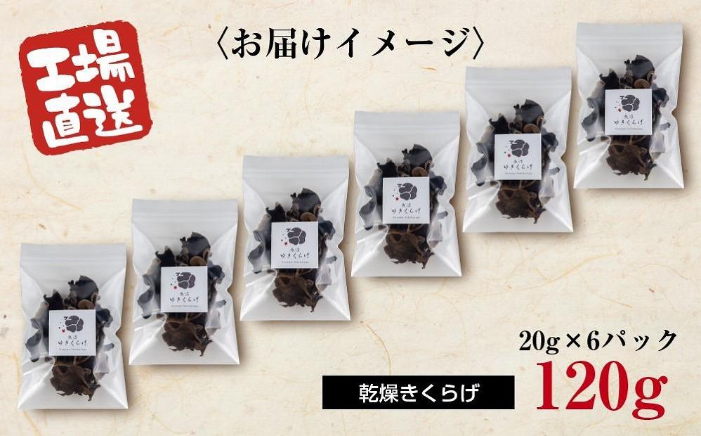 国産 乾燥 きくらげ 20g×6パック 計120g 小分け 栄養豊富 無農薬 無添加 オーガニック 自家栽培