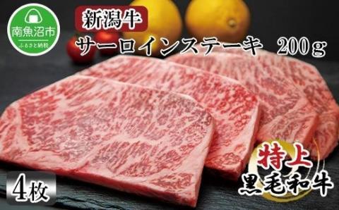 新潟牛 南魚沼産 にいがた 黒毛和牛 サーロインステーキ 200ｇ×4枚 4人前 新潟県 南魚沼市