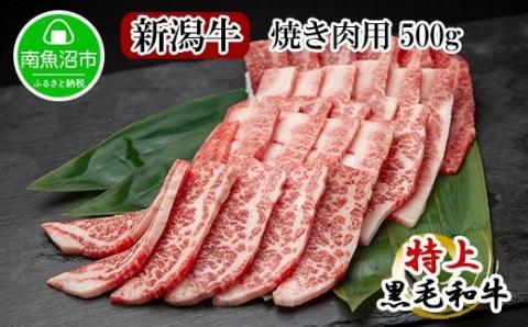 新潟牛 南魚沼産 にいがた 黒毛和牛 焼き肉用 500ｇ 新潟県 南魚沼市