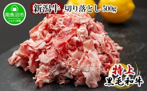 新潟牛 南魚沼産 にいがた 黒毛和牛 切り落とし 500ｇ