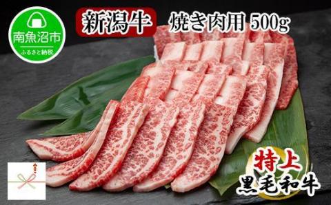【無地熨斗】新潟和牛 南魚沼産 にいがた 黒毛和牛 焼き肉用 500ｇ 新潟県 南魚沼市