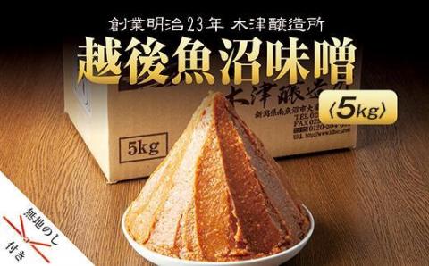 無地熨斗 新潟県 南魚沼産 越後魚沼味噌 大容量 業務用 5kg 箱 魚沼 みそ 発酵食品 味噌汁 国産 原料 備蓄 長期保存 木津醸造所  お中元 お歳暮