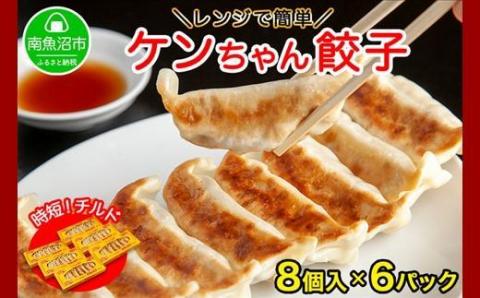 新潟県 南魚沼市 チルド手焼き餃子 8個入り × 6パック 計48個 ケンちゃん餃子 冷蔵 中華 点心 惣菜 ビール お取り寄せ グルメ