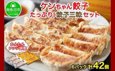 新潟県 南魚沼市 チルド手焼き餃子・ジャンボ餃子 食べ比べ セット 各3パック 計42個 ケンちゃん餃子 冷蔵 中華 点心 惣菜 ビール お取り寄せ グルメ