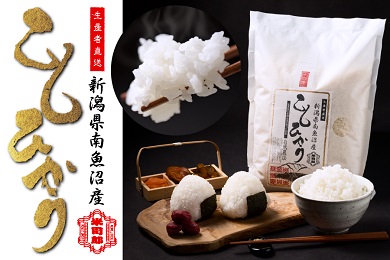 【令和7年産】【精米】自然農法/化学肥料不使用の南魚沼産こしひかり2kg