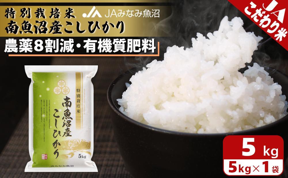 【令和7年産】特別栽培米南魚沼産こしひかり8割減 5kg 精米 農薬8割削減 有機肥料 精米HACCP認定工場 特A獲得日本一産地 高品質精米 もっちり甘い 南魚沼産コシヒカリ