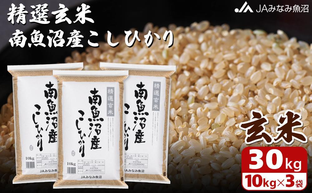 令和6年産＼新米／】南魚沼産こしひかり精選玄米30kg: 南魚沼市ANAのふるさと納税