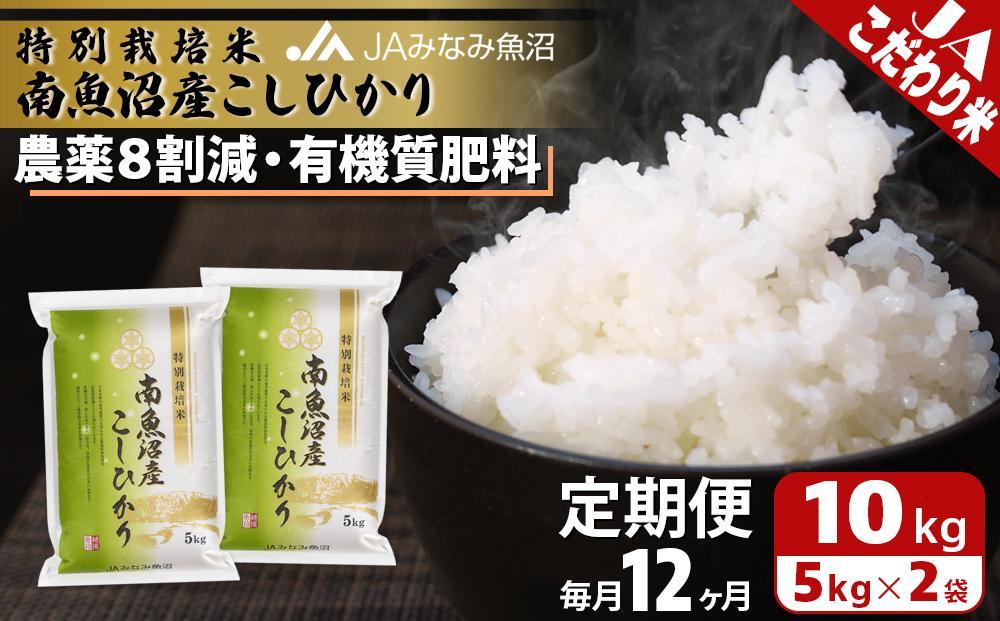 【JAみなみ魚沼定期便】特別栽培米南魚沼産こしひかり8割減（10kg×全12回）精米 農薬8割削減 有機肥料 精米HACCP認定工場 特A獲得日本一産地 高品質精米 もっちり甘い 南魚沼産コシヒカリ