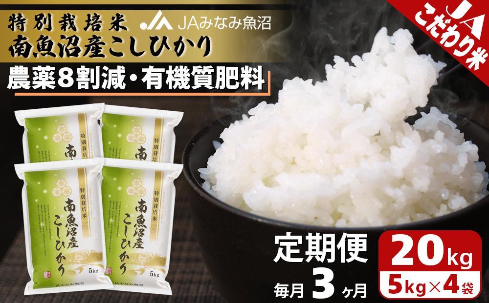【JAみなみ魚沼定期便】特別栽培米南魚沼産こしひかり8割減（20kg×全3回）精米 農薬8割削減 有機肥料 精米HACCP認定工場 特A獲得日本一産地 高品質精米 もっちり甘い 南魚沼産コシヒカリ