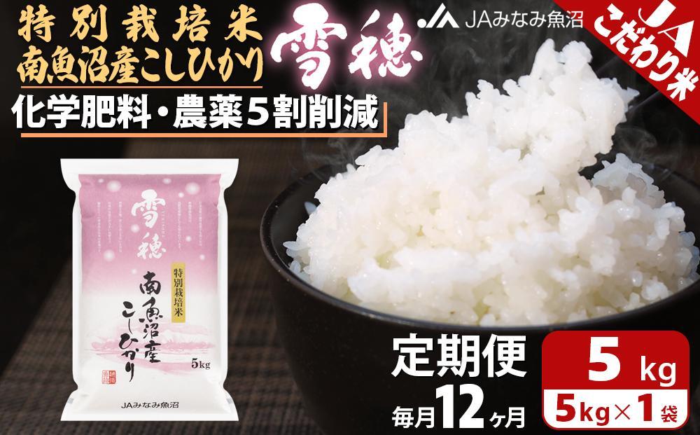 【JAみなみ魚沼定期便】特別栽培米南魚沼産こしひかり「雪穂」（5kg×全12回）精米 農薬5割削減 精米HACCP認定工場 特A獲得日本一産地 高品質精米 もっちり甘い 南魚沼産コシヒカリ