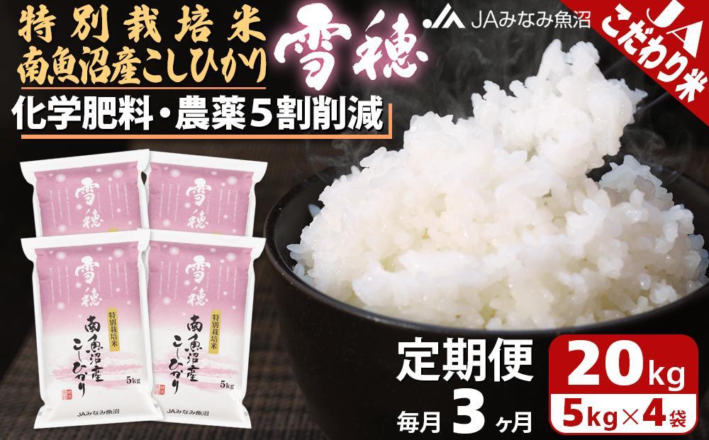 【JAみなみ魚沼定期便】特別栽培米南魚沼産こしひかり「雪穂」（20kg×全3回）精米 農薬5割削減 精米HACCP認定工場 特A獲得日本一産地 高品質精米 もっちり甘い 南魚沼産コシヒカリ
