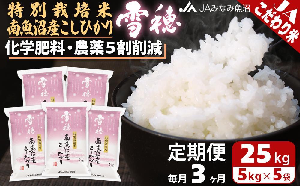 【JAみなみ魚沼定期便】特別栽培米南魚沼産こしひかり「雪穂」（25kg×全3回）精米 農薬5割削減 精米HACCP認定工場 特A獲得日本一産地 高品質精米 もっちり甘い 南魚沼産コシヒカリ