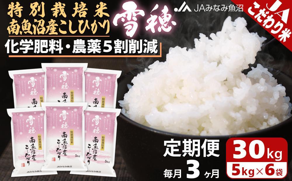 【JAみなみ魚沼定期便】特別栽培米南魚沼産こしひかり「雪穂」（30kg×全3回）精米 農薬5割削減 精米HACCP認定工場 特A獲得日本一産地 高品質精米 もっちり甘い 南魚沼産コシヒカリ