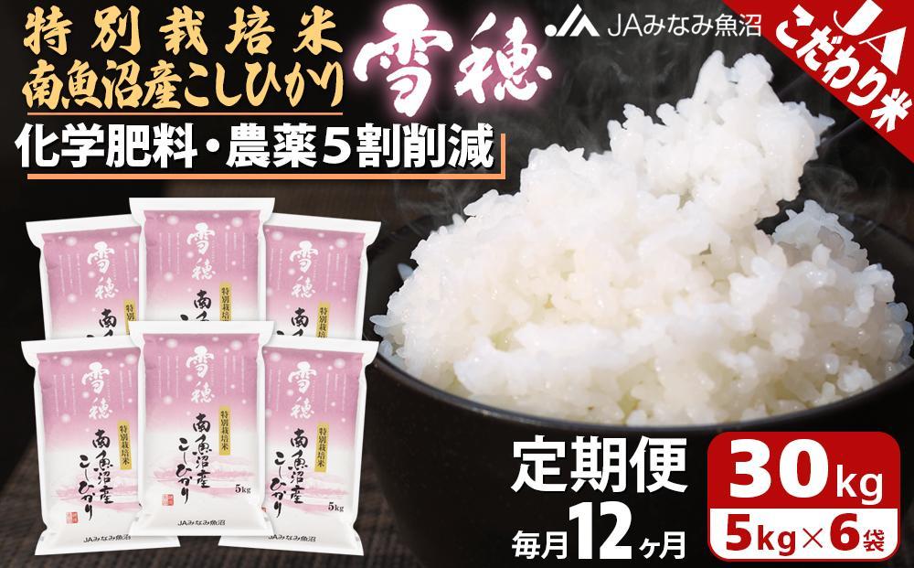 【JAみなみ魚沼定期便】特別栽培米南魚沼産こしひかり「雪穂」（30kg×全12回）精米 農薬5割削減 精米HACCP認定工場 特A獲得日本一産地 高品質精米 もっちり甘い 南魚沼産コシヒカリ