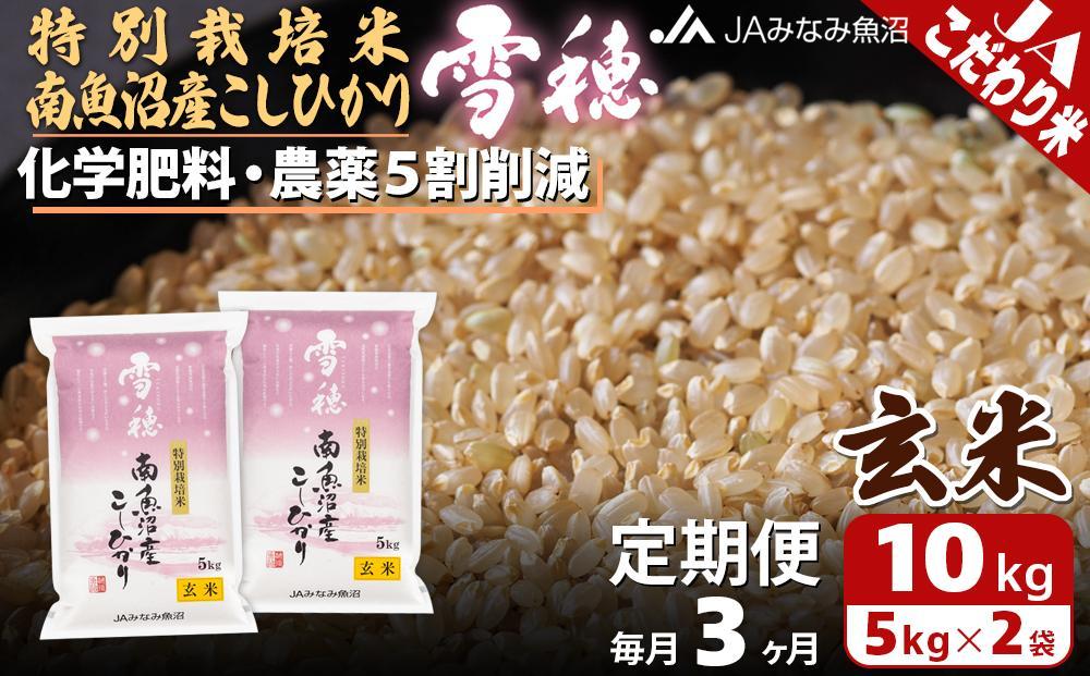 【JAみなみ魚沼定期便】特別栽培米南魚沼産こしひかり「雪穂」玄米（10kg×全3回）農薬5割削減 調整玄米 精選玄米 特A獲得日本一産地 高品質精米 もっちり甘い 南魚沼産コシヒカリ