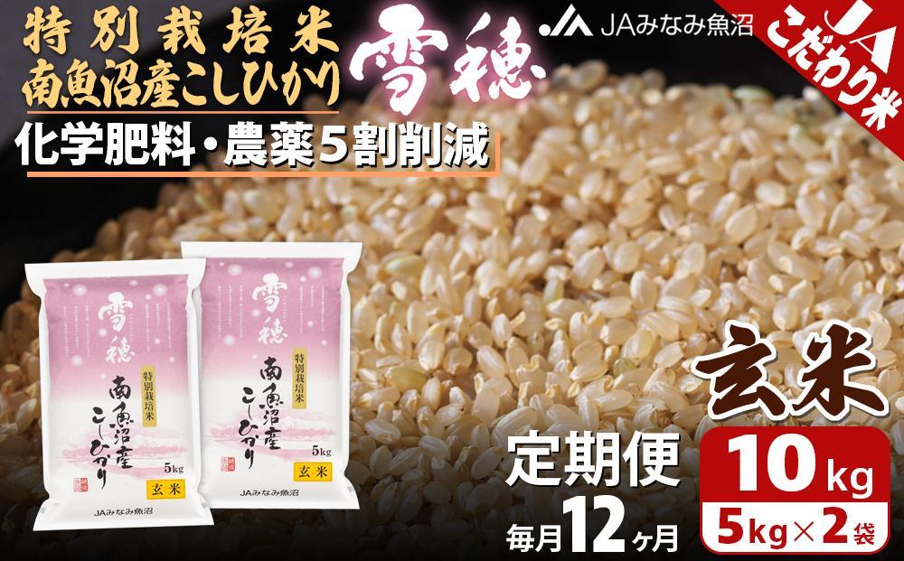 【JAみなみ魚沼定期便】特別栽培米南魚沼産こしひかり「雪穂」玄米（10kg×全12回）農薬5割削減 調整玄米 精選玄米 特A獲得日本一産地 高品質精米 もっちり甘い 南魚沼産コシヒカリ