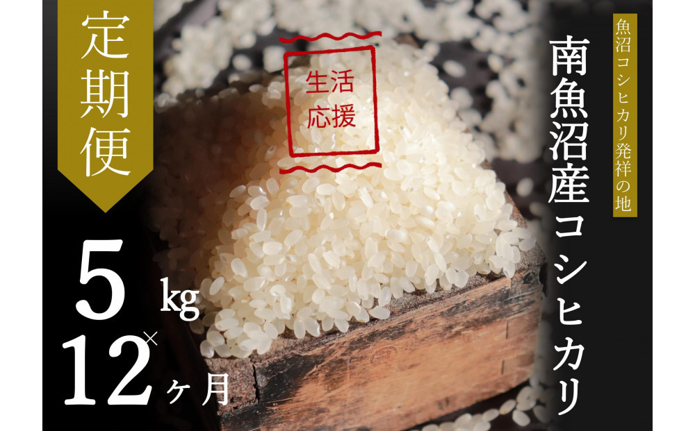 【令和7年産】【定期便・下旬お届け】5kg×12ヶ月　南魚沼産コシヒカリ生活応援