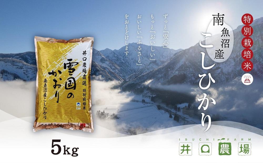 【令和7年産 新米】南魚沼産コシヒカリ 5kg  井口農場こだわりの 特別栽培米