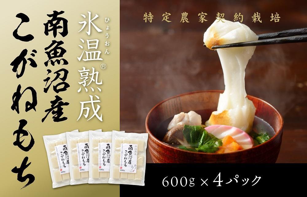 【生切り餅】氷温熟成南魚沼産こがねもち2.4kg【2026年1月14日より順次発送予定】