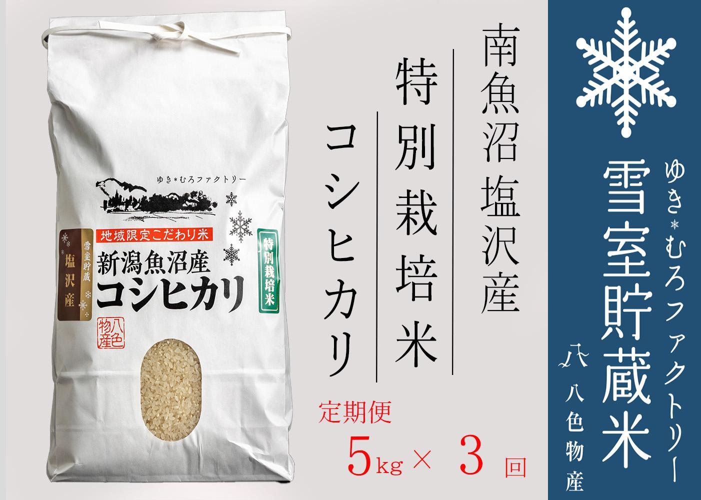 【令和７年産】特別栽培【定期便5kg×3回】 雪室貯蔵米 南魚沼塩沢産コシヒカリ