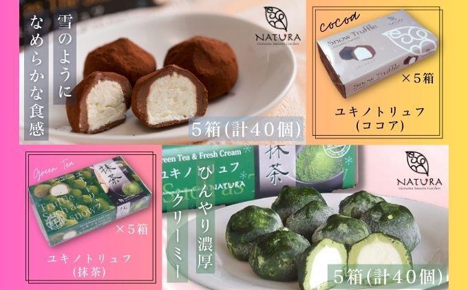 チョコレート ショコラトリュフ ココア 抹茶 スイーツ 生洋菓子  新潟県 南魚沼市 ナトゥーラ 濃厚ひんやり ユキノトリュフ 計10箱