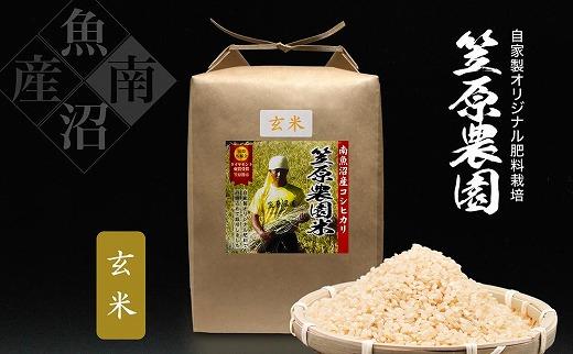【定期便】【令和７年産】南魚沼産 笠原農園米 コシヒカリ玄米【5kg×全６回】