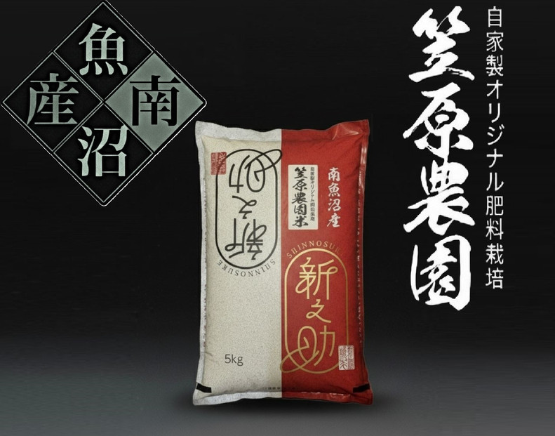 【令和７年産新米】南魚沼産 笠原農園米 新之助 5kg