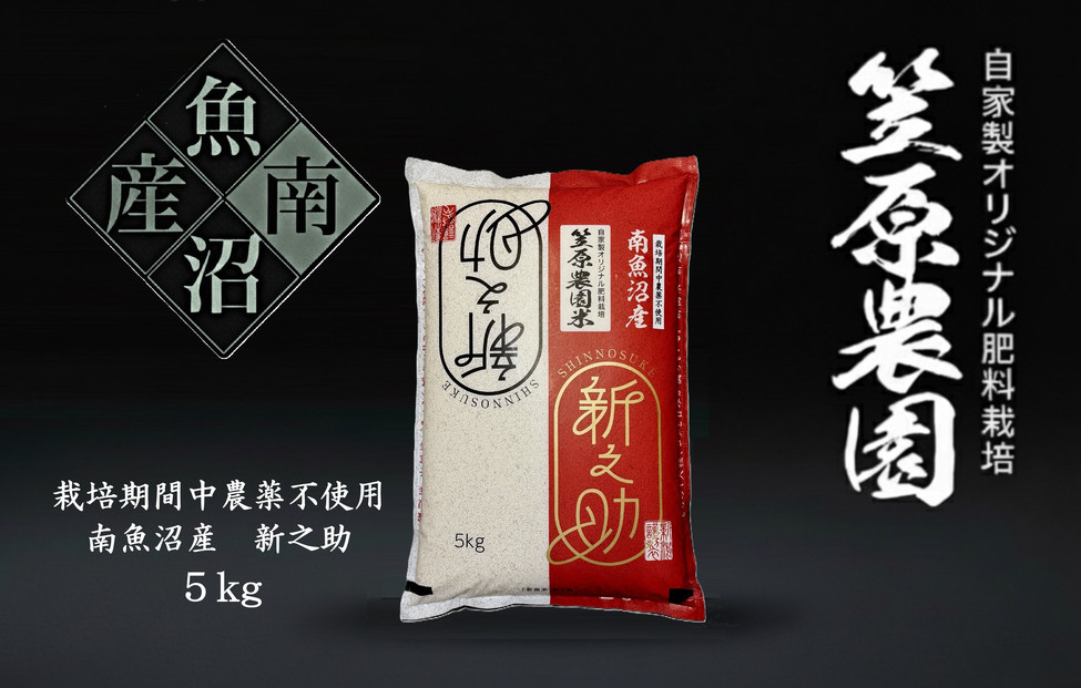 【令和７年産新米】南魚沼産 笠原農園米 栽培期間中農薬不使用 新之助 5kg