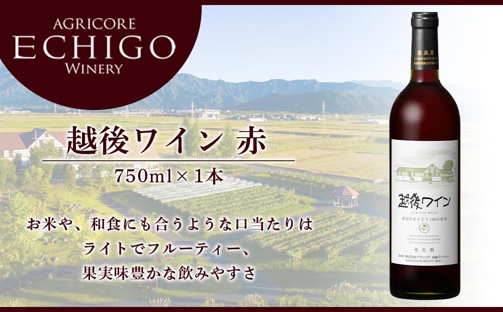 お米や和食にも合う！「越後ワイン(赤)」