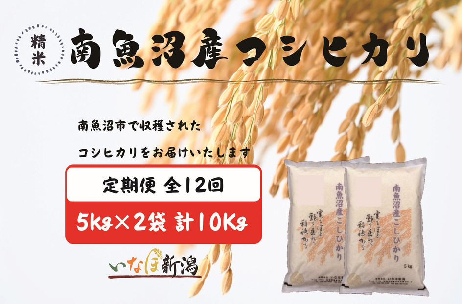 【令和7年産】【定期配送】南魚沼産コシヒカリ 白米 5kg×2袋(10kg) 全12回【2025年10月上旬より順次発送予定】