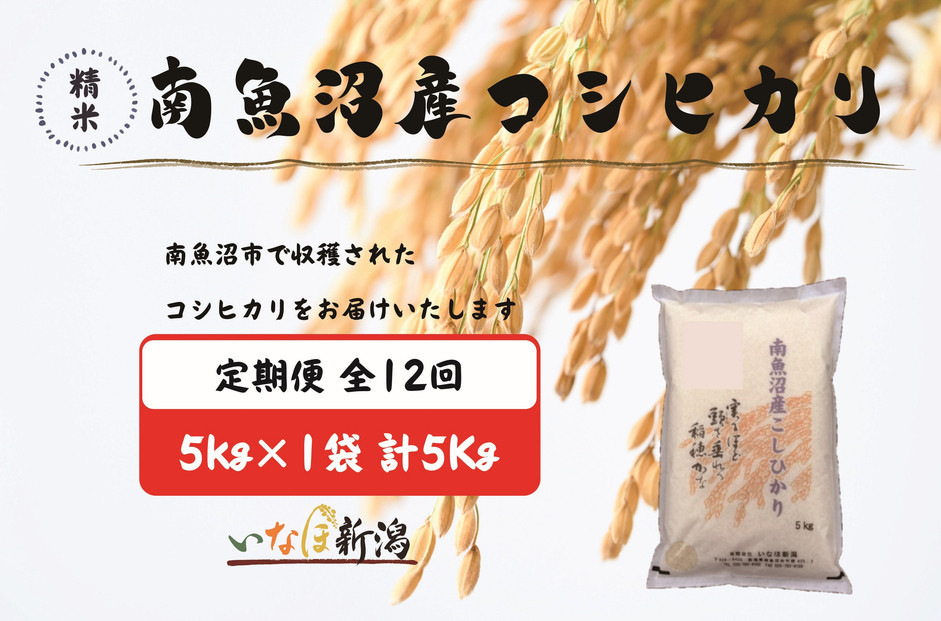 【令和7年産】【定期配送】南魚沼産コシヒカリ 白米 5kg 全12回【2025年10月上旬より順次発送予定】