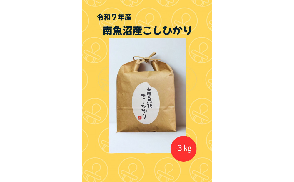 令和7年 南魚沼産こしひかり3kg