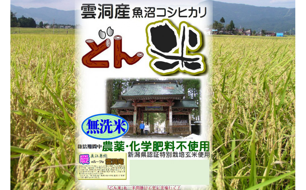 【頒布会】南魚沼産「どん米」無洗米真空パック8kg×10ヶ月　ちょっと！うるさいよ！炊き方