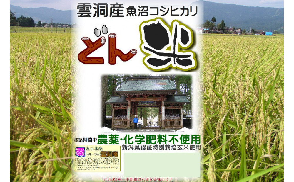 【頒布会】南魚沼産「どん米」白米真空パック8kg×５ヶ月　ちょっと！うるさいよ！炊き方