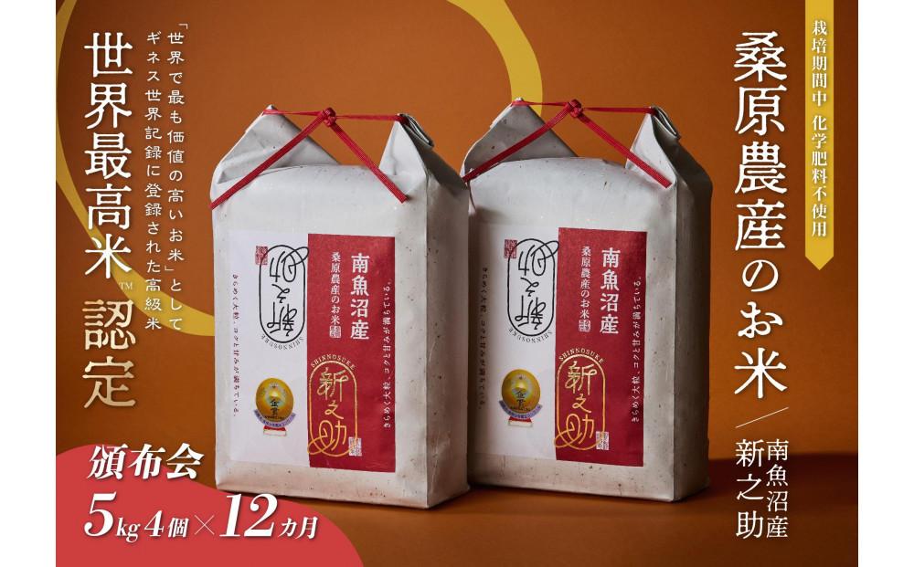 【R7年産新米】【頒布会】ギネス世界記録「世界最高米」認定 最高級南魚沼産新之助20kg(5kg×4)×12ヵ月 桑原農産のお米(精米)