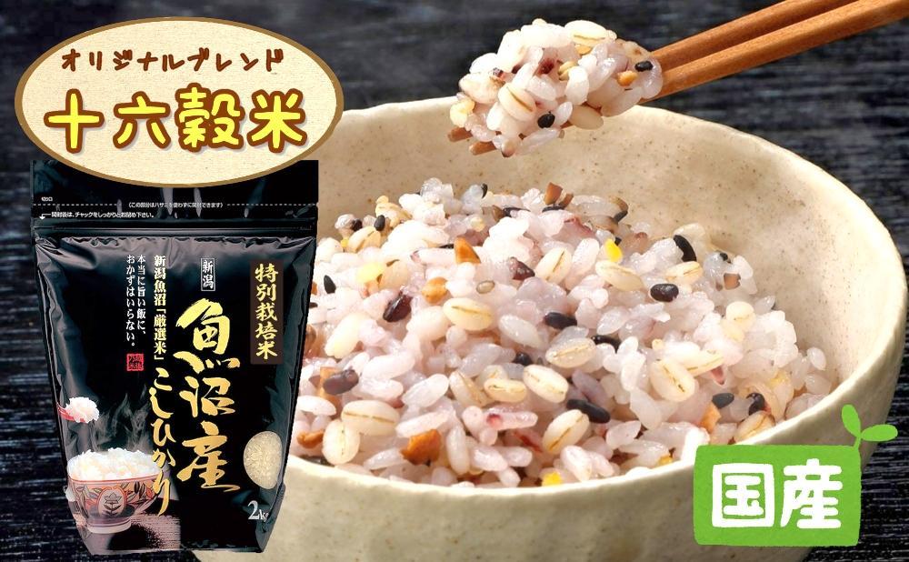 【令和7年産新米予約】極上南魚沼産コシヒカリと国産十六雑穀米のセット　8ｋｇ+900ｇ【2025年9月中旬より順次発送予定】