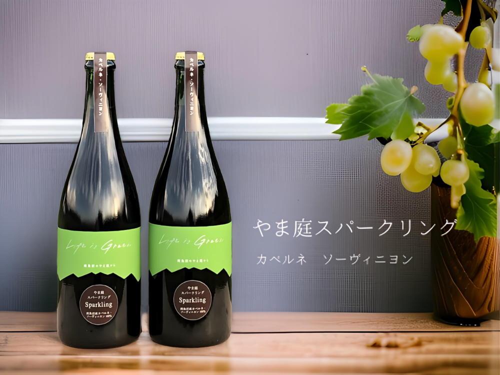 カベルネ・ソービニヨンの辛口スパークリングワイン 2本セット