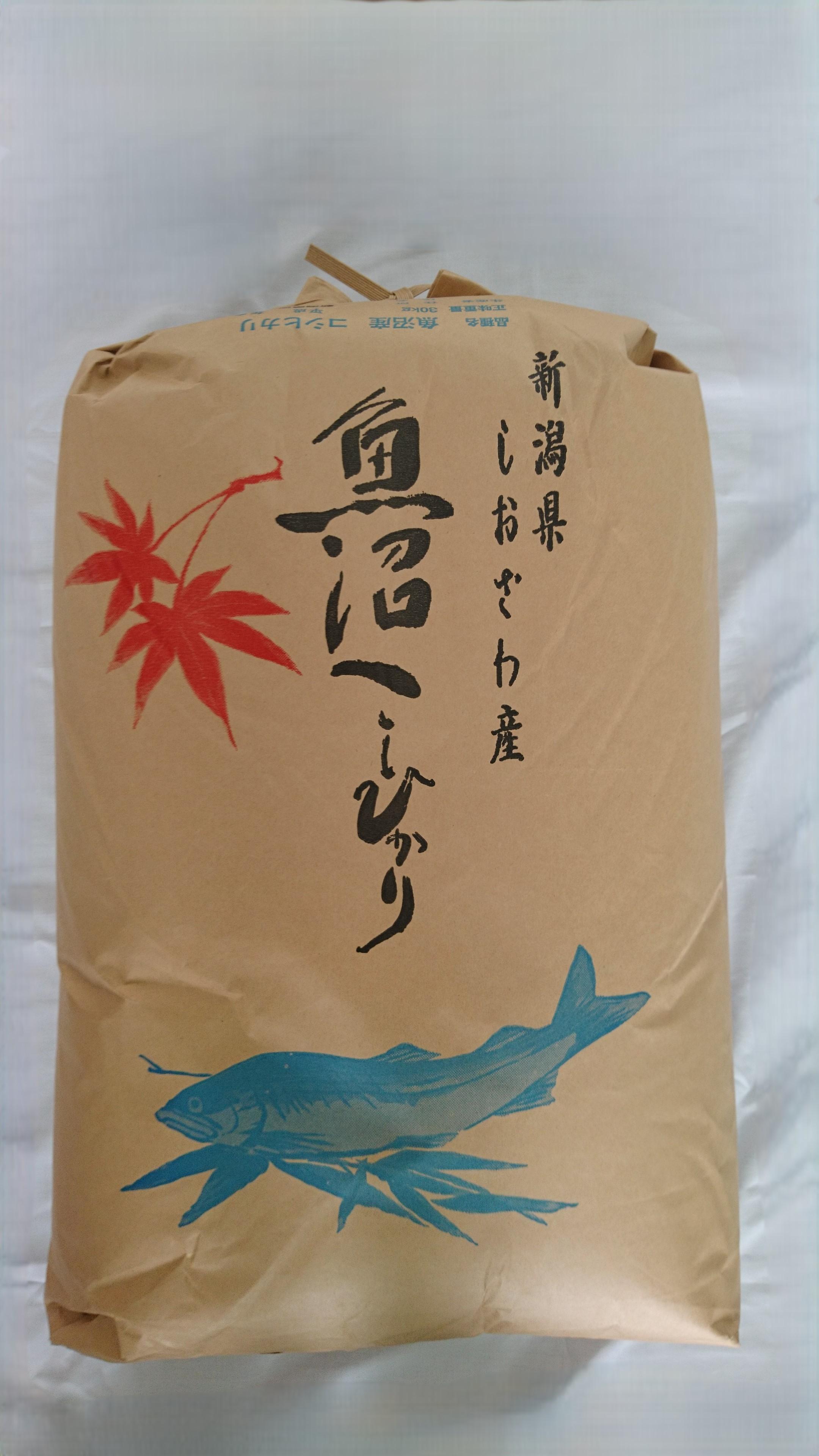 【令和7年】魚沼産しおざわコシヒカリ玄米３０kg