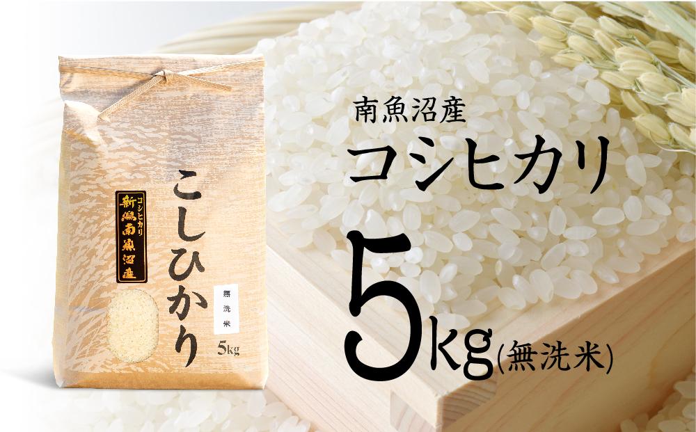 【12月20日ご入金確認分まで年内発送】【令和7年産 新米】南魚沼産コシヒカリ（無洗米）【5kg】【令和7年11月下旬以降発送】