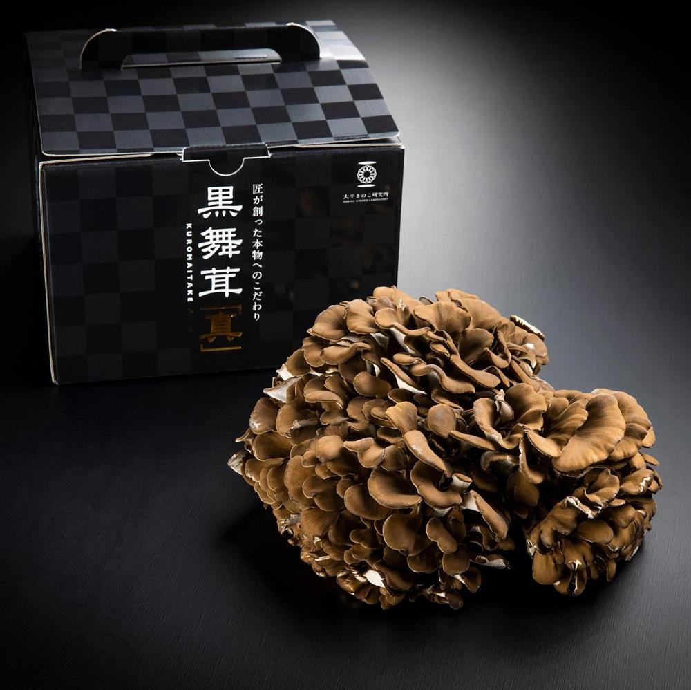 大平きのこ研究所の大黒舞茸「真」【贈答用】７００ｇ