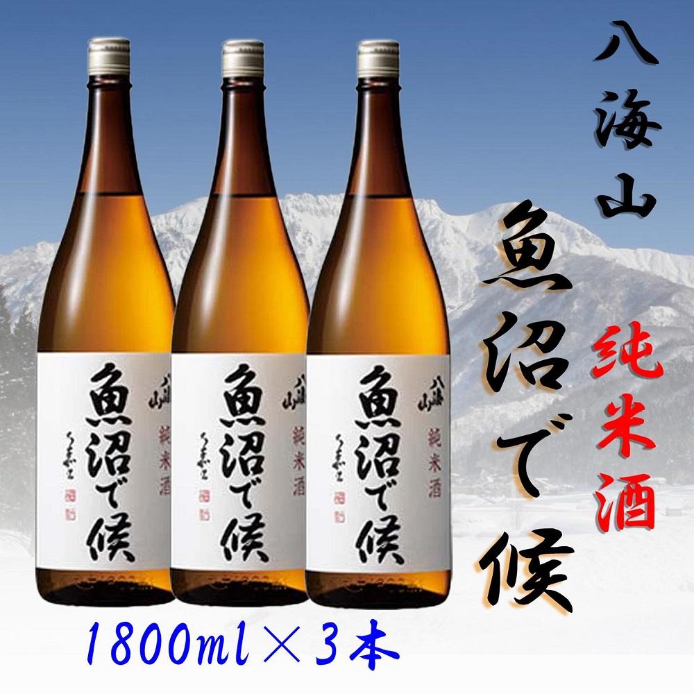 【魚沼地域限定】純米酒 八海山「魚沼で候」1800ml×3本