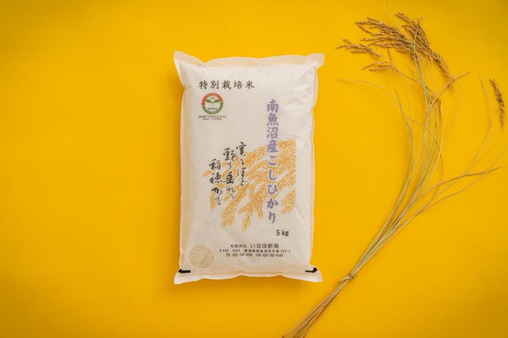 【令和7年産】 南魚沼産コシヒカリ「特別栽培米（アファス認証）」精米5kg【新潟県 特A地区】