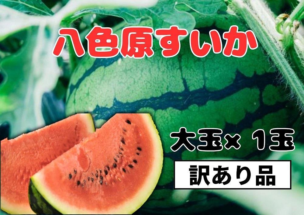 先行予約【わけあり品】八色原すいか大玉１玉【2026年7月下旬発送】【お届け日時指定不可】