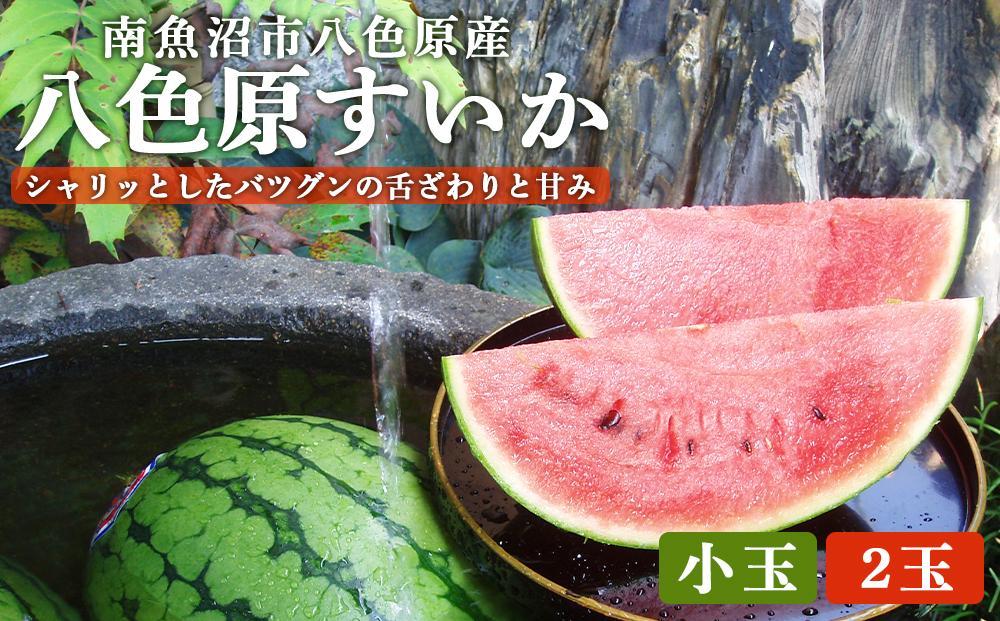先行予約【高級】八色原すいか小玉２玉【2026年7月中旬発送】【お届け日時指定不可】